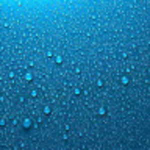 Meet your Posher, Amybeth